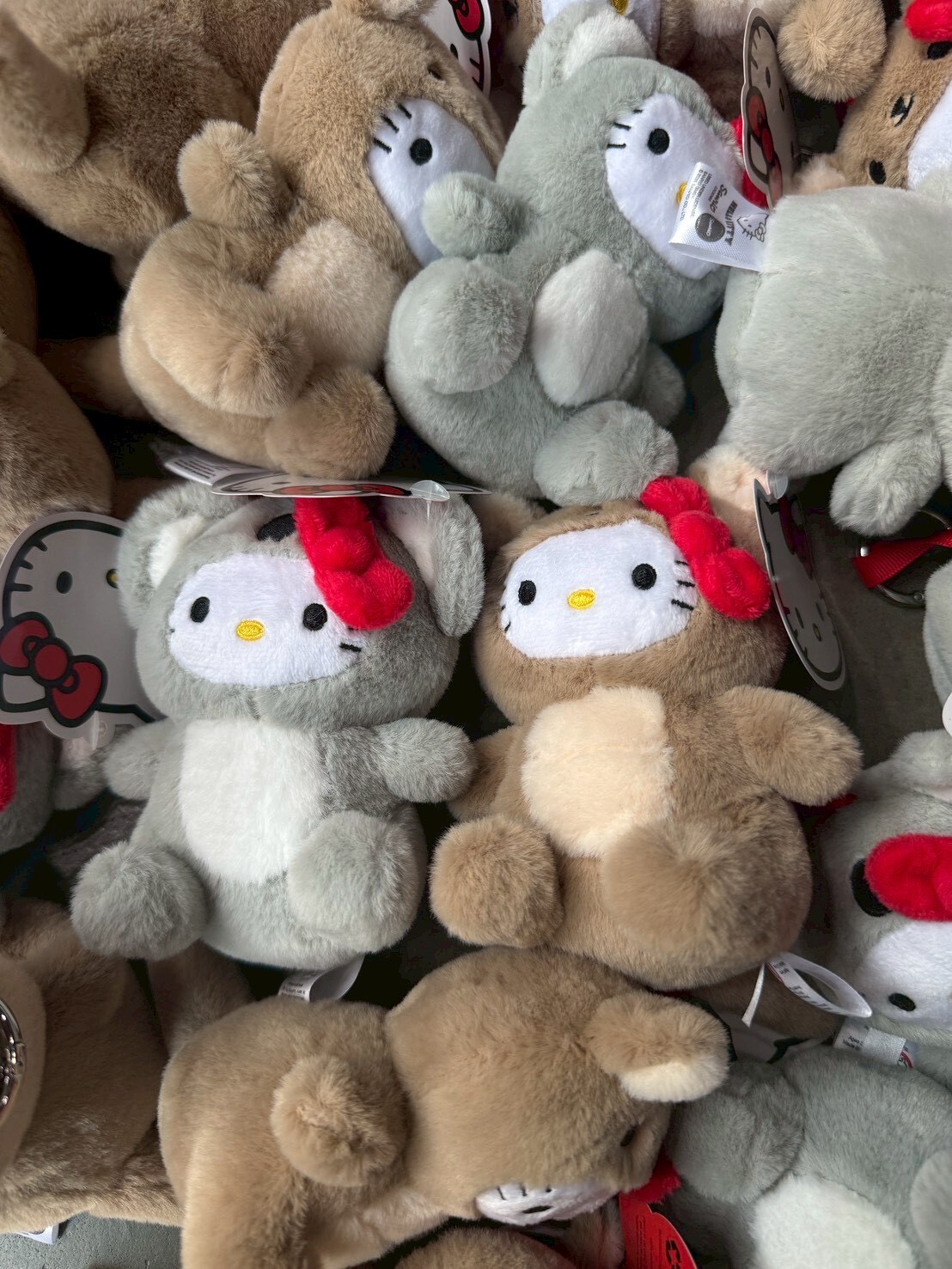 現貨 Hello Kitty 澳洲限定 袋鼠 無尾熊 毛絨吊飾 公仔