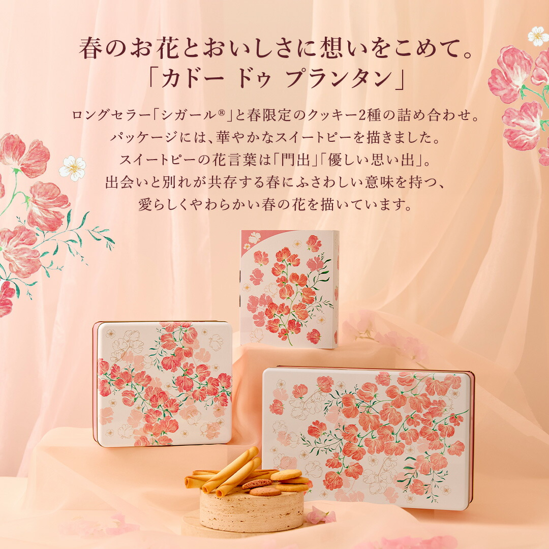 日韓限時預購 | YOKU MOKU 2026 春季限定禮盒