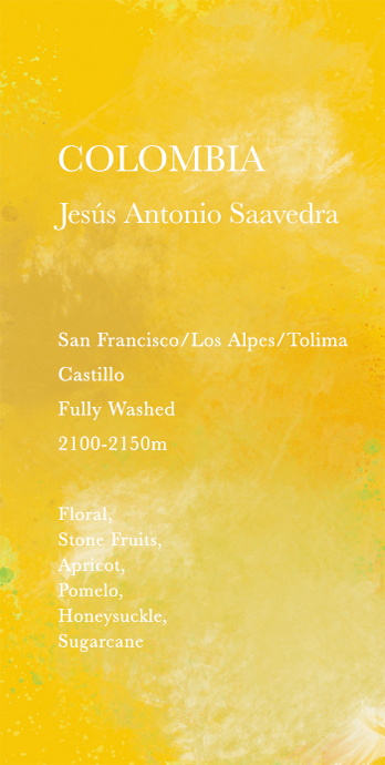 哥倫比亞  Jesús Antonio Saavedra