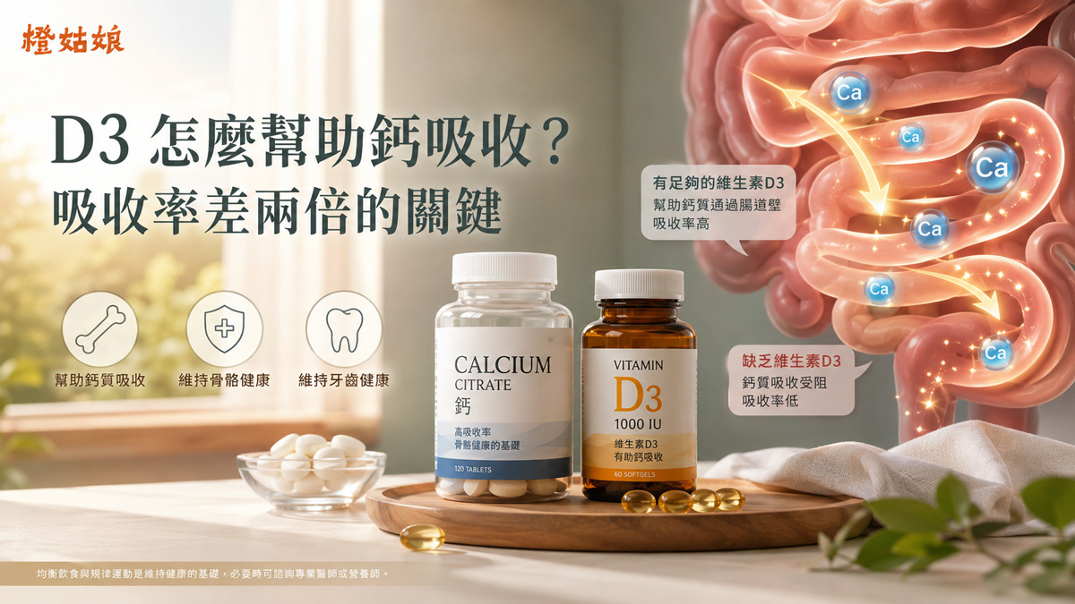 D3 怎麼幫助鈣吸收