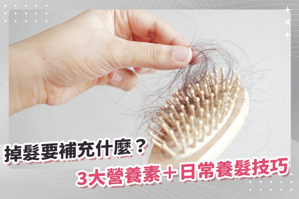 掉髮要補充什麼