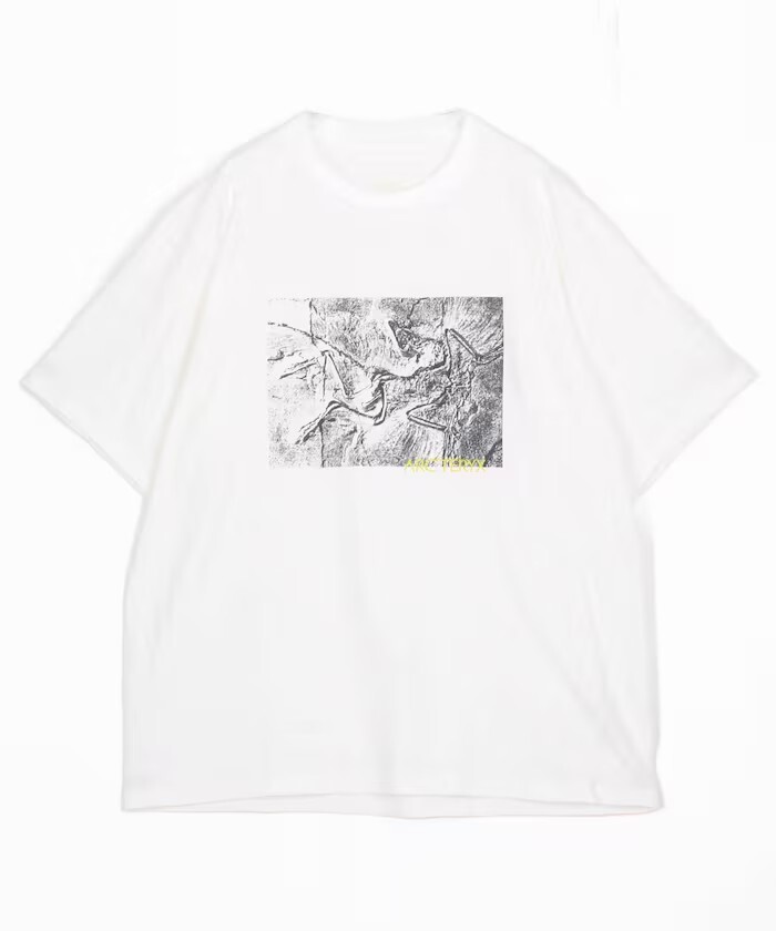"代購" 日本網路限定 ARC’TERYX 始祖鳥 短袖 重磅