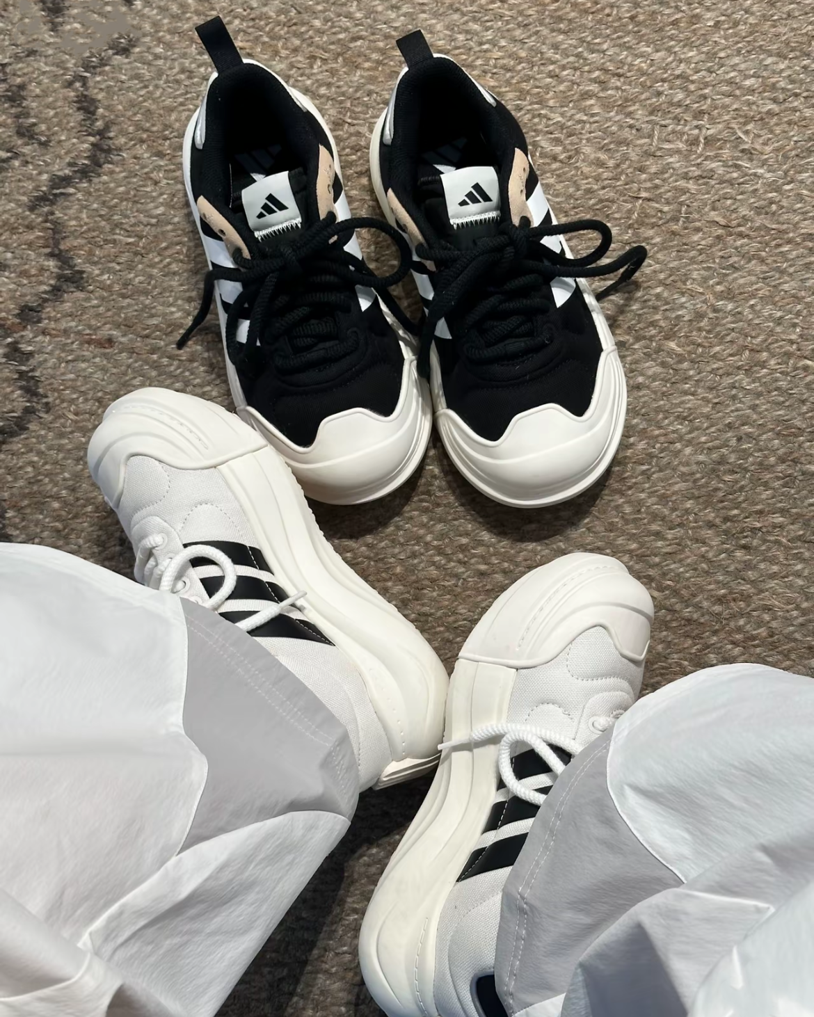(預訂) Adidas Maxxcourt SPW 包頭鞋【兩色】