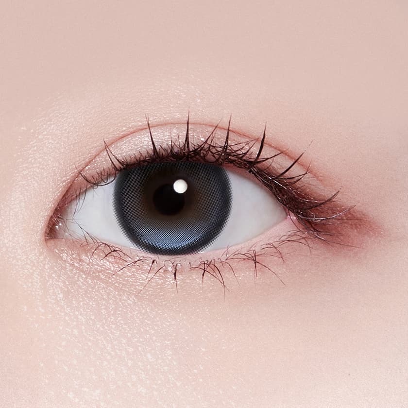 [13.5mm] FiPN x DAVICH Lens Foraea Grande 1 Day Fixing Ash｜日拋彩妝隱形眼鏡｜每盒10片