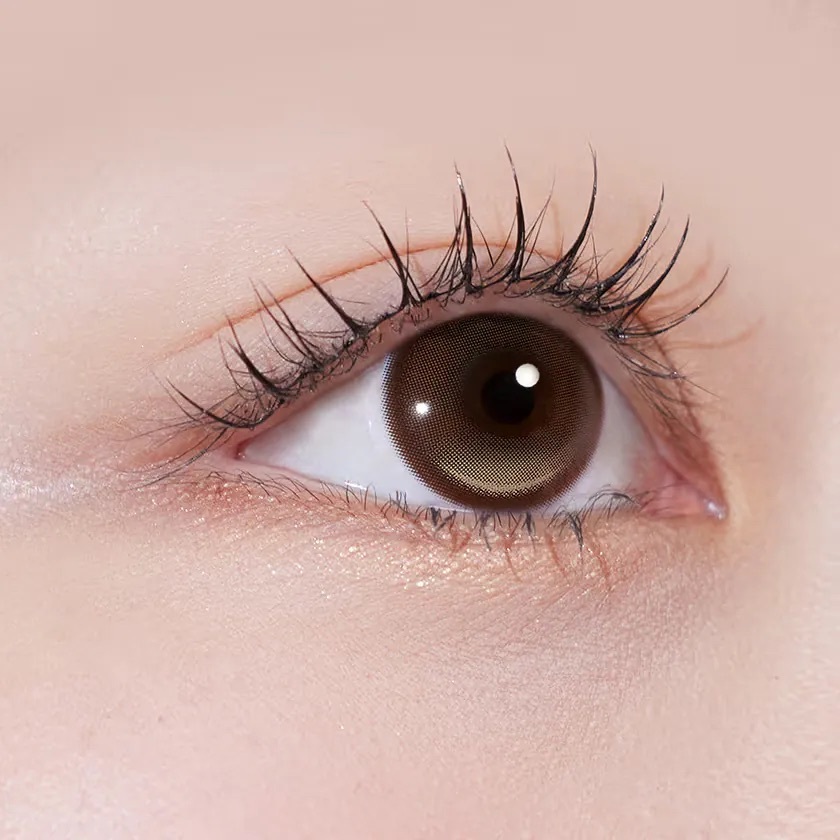 [13.5mm] FiPN x DAVICH Lens Foraea Grande 1 Day Fixing Camel｜日拋彩妝隱形眼鏡｜每盒10片