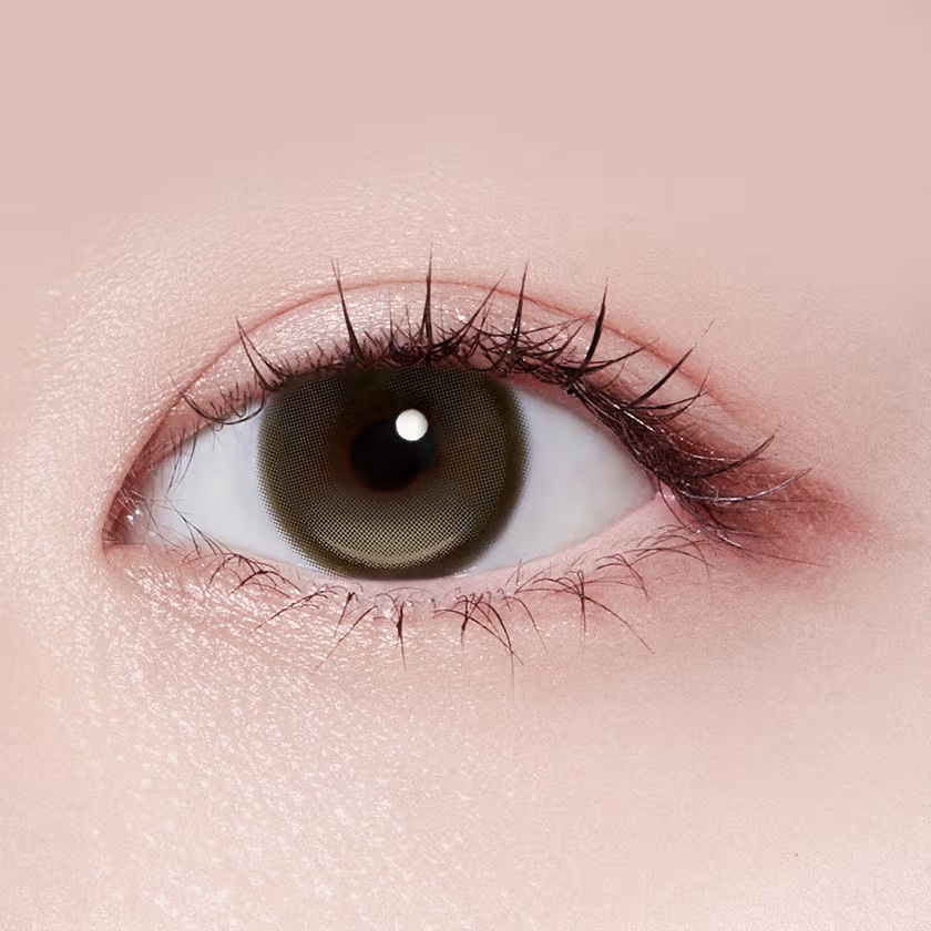 [13.5mm] FiPN x DAVICH Lens Foraea Grande 1 Day Fixing Olive｜日拋彩妝隱形眼鏡｜每盒10片