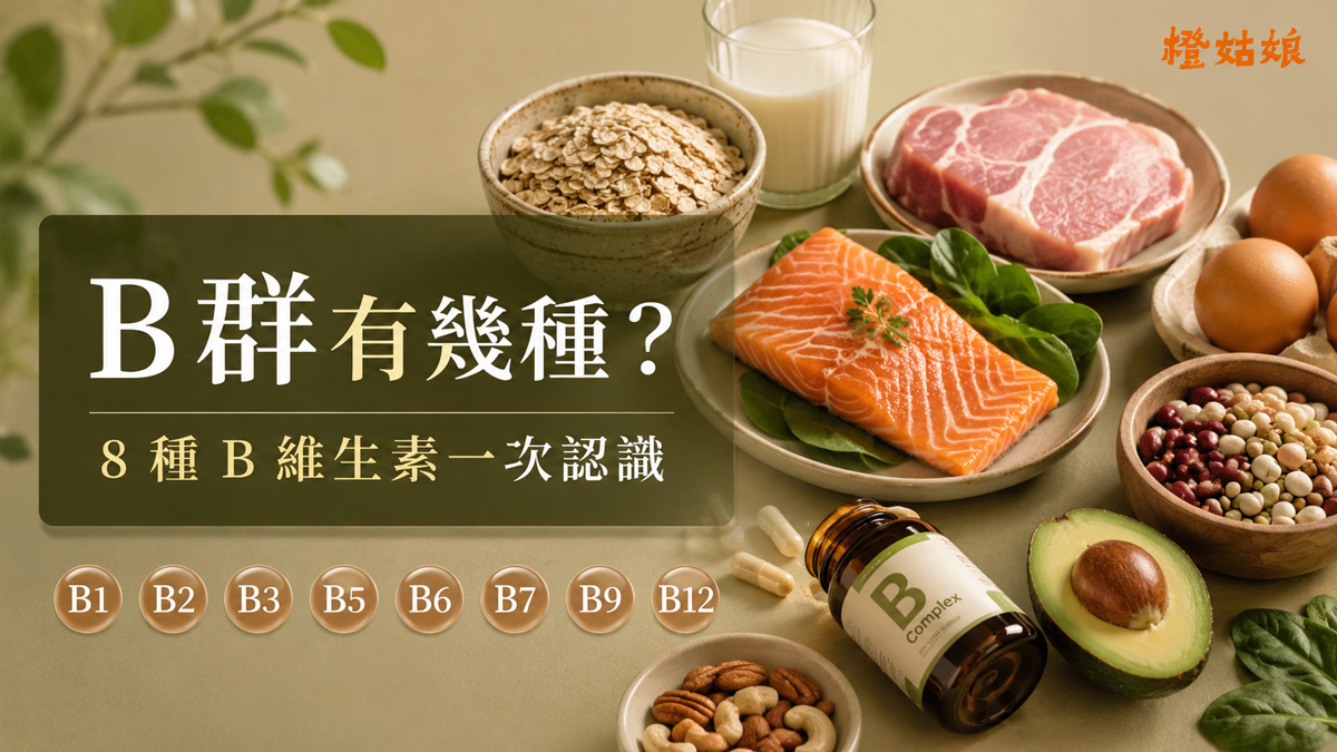 B群有幾種