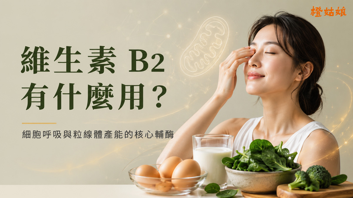 維生素 B2 有什麼用