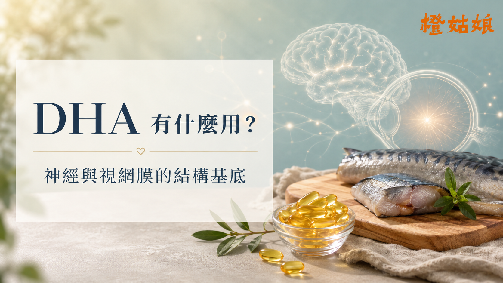 DHA 有什麼用