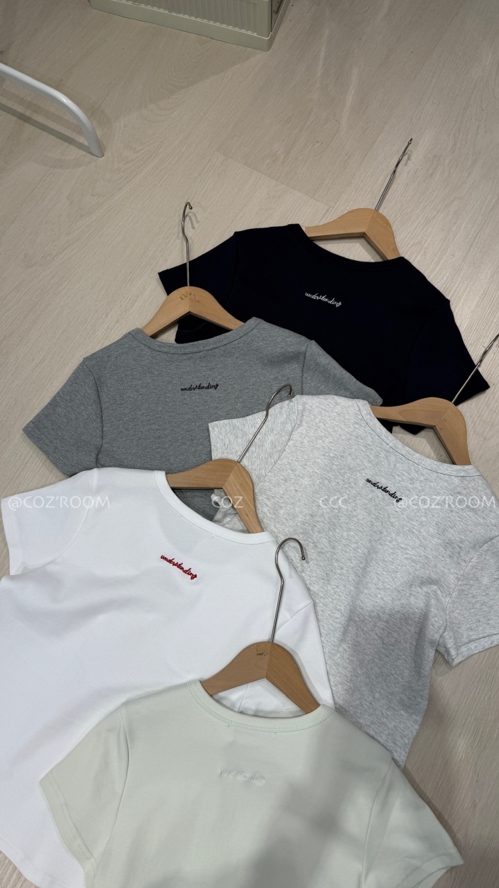 背後刺繡小英字微磨毛上衣Tee 5colors _1818