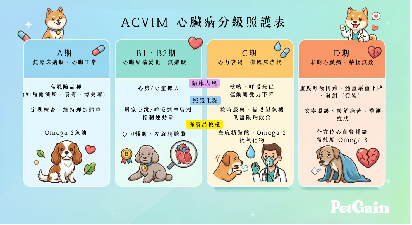 ACVIM 心臟病分級指標