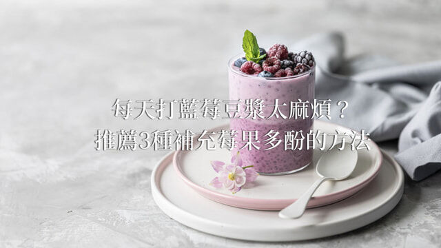 藍莓豆漿果昔