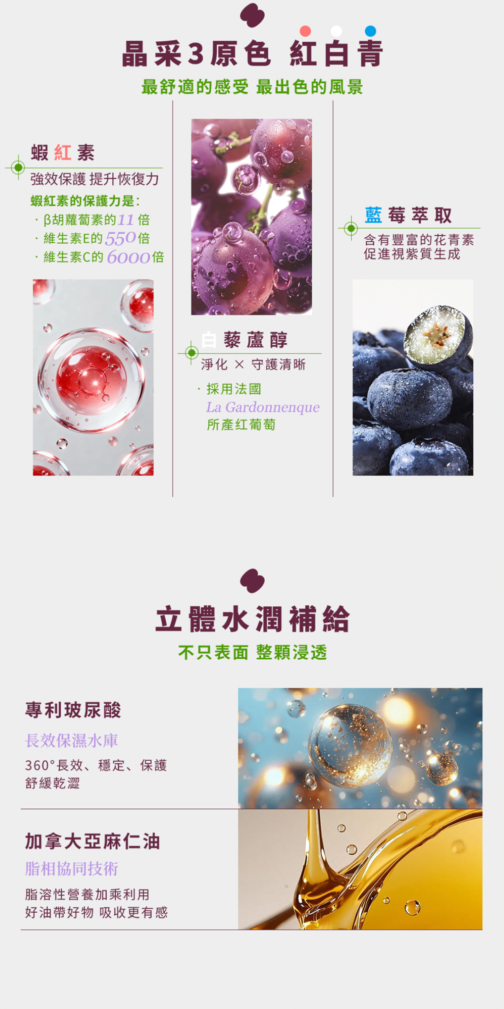 晶采 3 原色紅白青富含蝦紅素、白藜蘆醇與藍莓萃取，搭配專利玻尿酸與亞麻仁油水潤補給。底層展示多重國際專利證書認證。