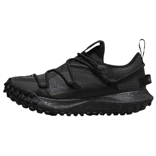 【官網限定】NIKE ACG MOUNTAIN FLY LOW GTX SE 防水 越野 機能 DD2861-002 VI