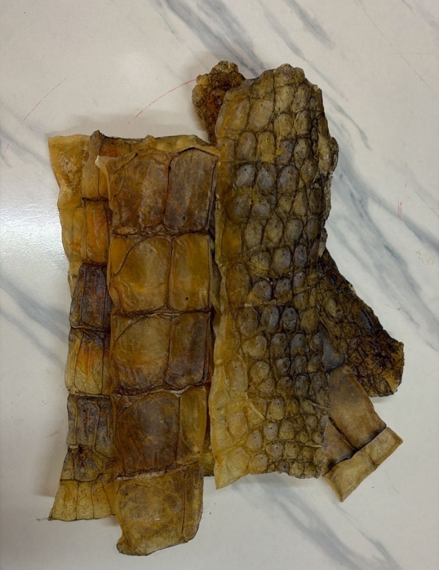 (7652) 鱷魚尾膠1斤