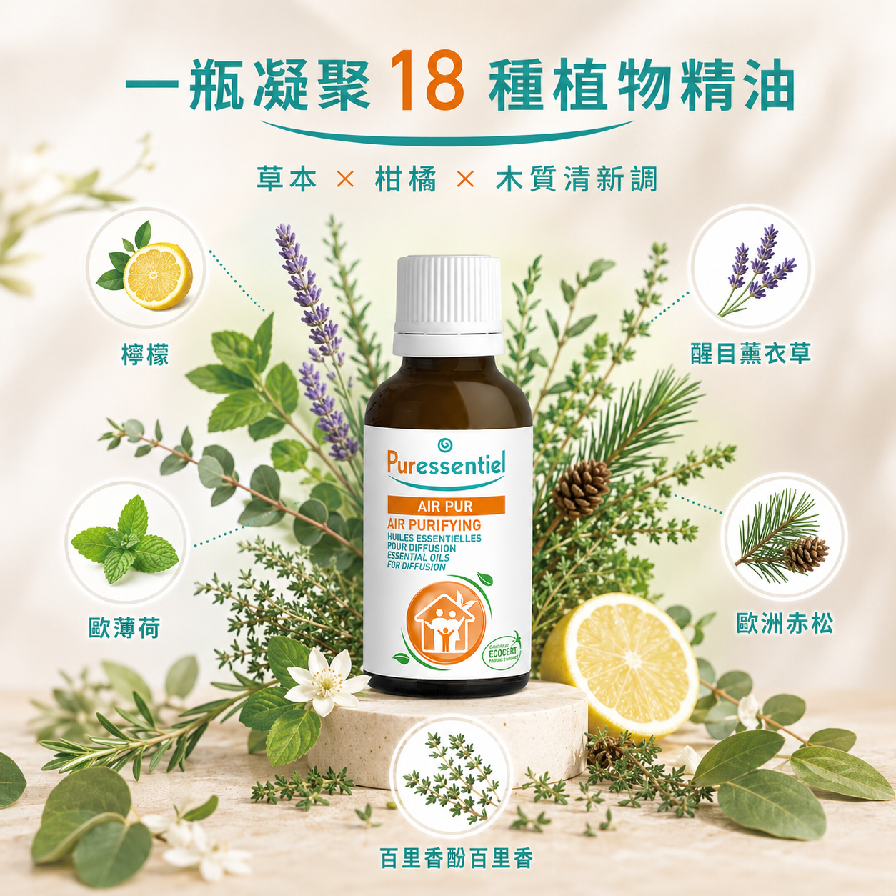 蘊含尤加利、松針與雪松等 18 種天然植物成分的璞萃複方精油香氣結構