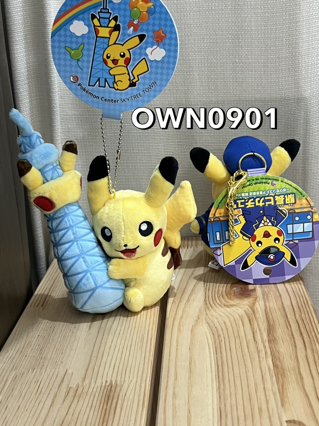 【OWN】Pokémon 寶可夢 日本限定 晴空塔 東京 車站 吊飾 娃娃 收藏 皮卡丘 地區限定