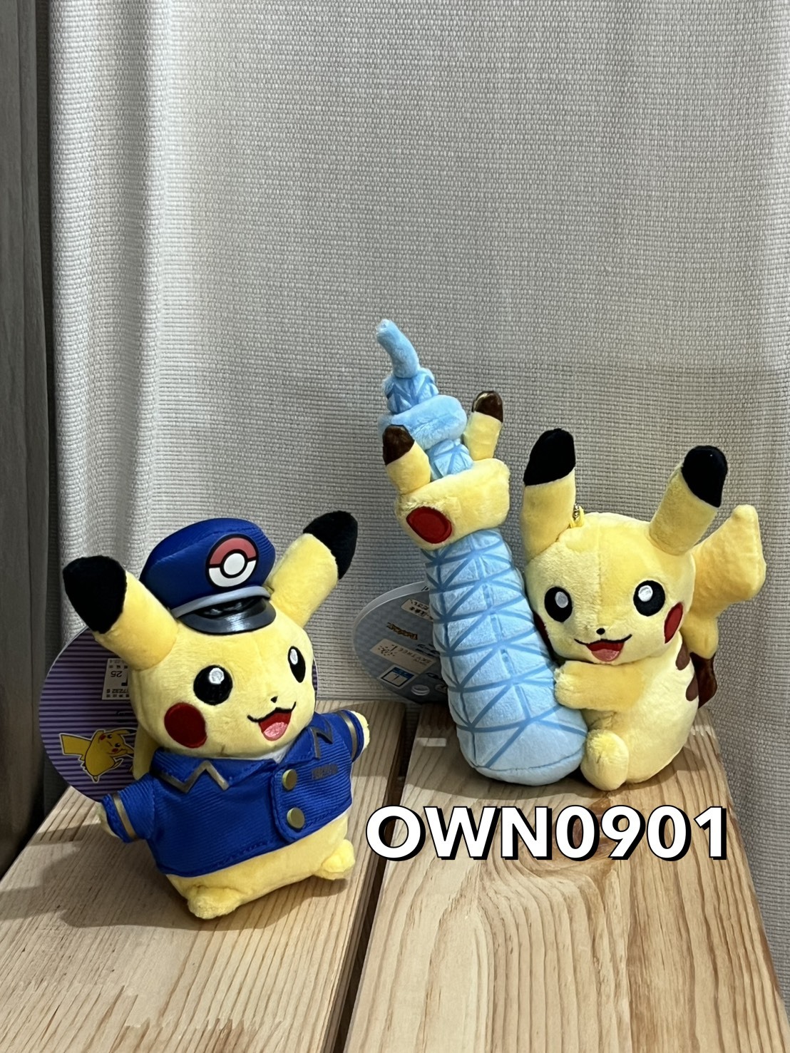 【OWN】Pokémon 寶可夢 日本限定 晴空塔 東京 車站 吊飾 娃娃 收藏 皮卡丘 地區限定
