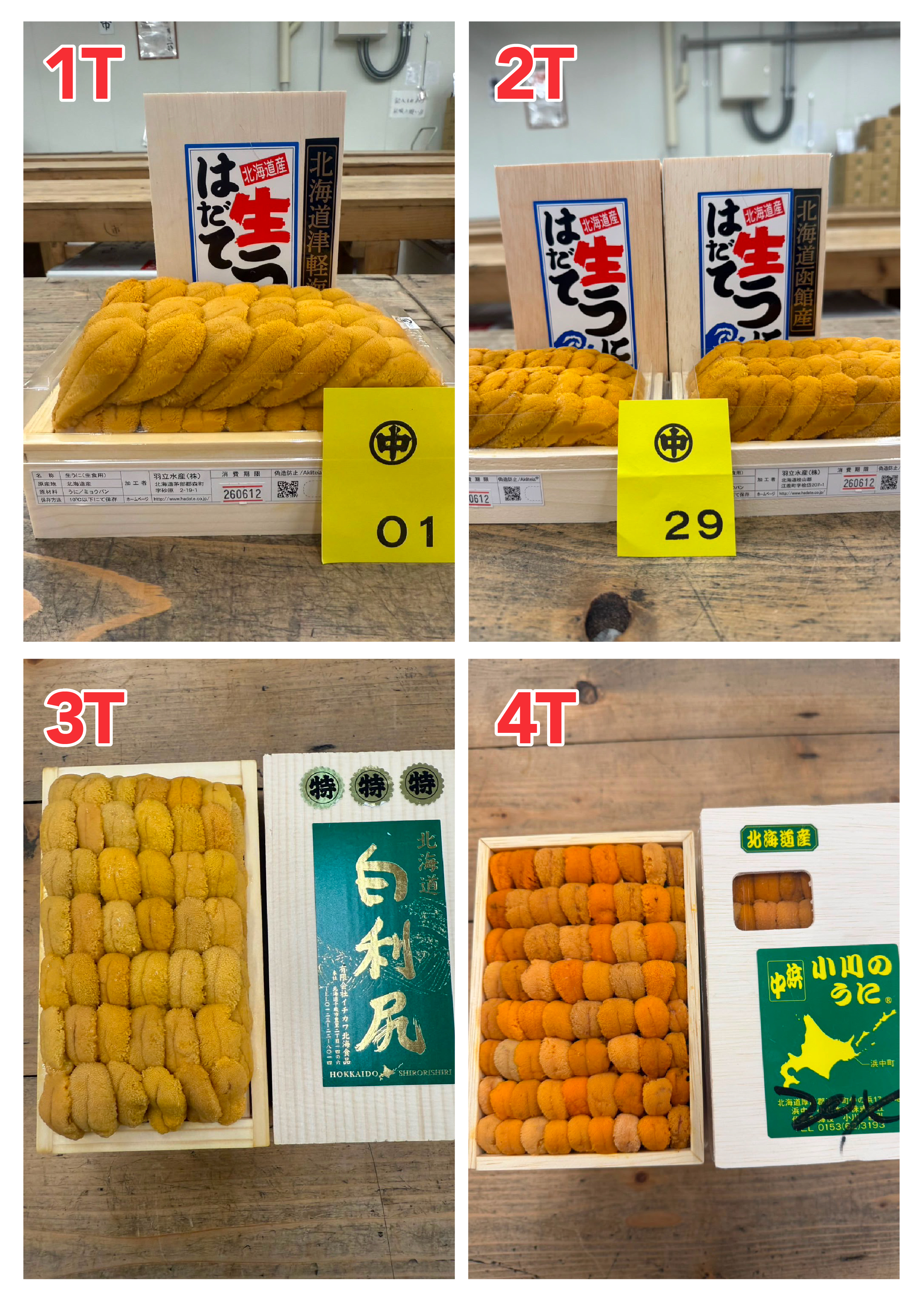 【指定海膽推薦】每天更新 (限即日落單, 翌日送)