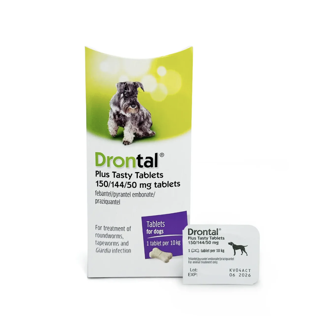 Drontal Plus Tasty Tablets For 10kg Dogs (Per Tablet)