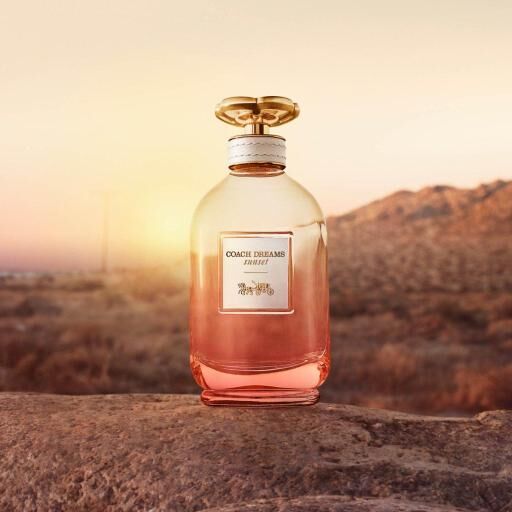 Coach Dreams Sunset EDP 90ML (Tester Pack)(Barcode:3386460123587)