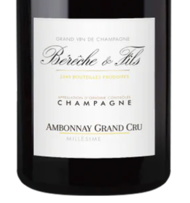Bereche et Fils Ambonnay Grand Cru Millesime 2019 (RP94)