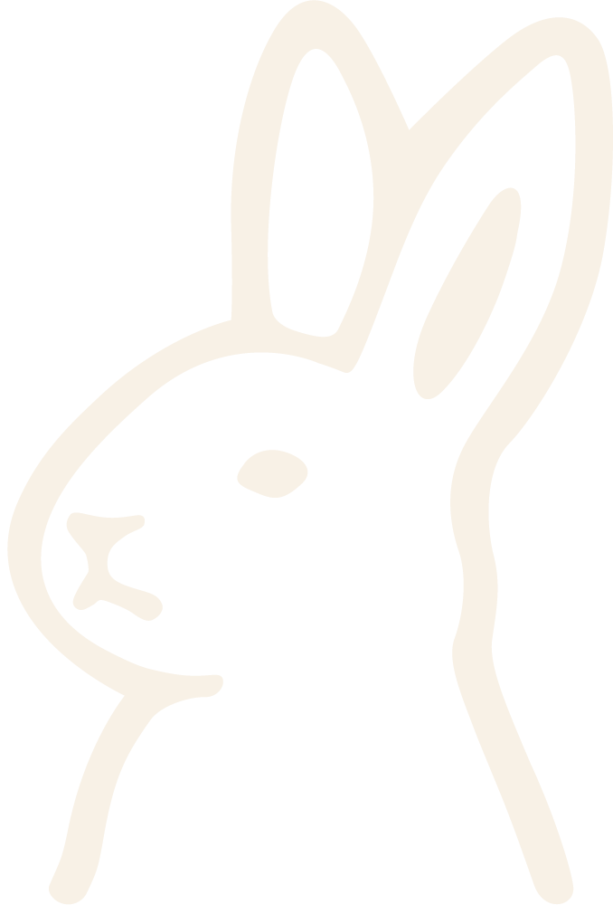 C&C Rabbit Logo