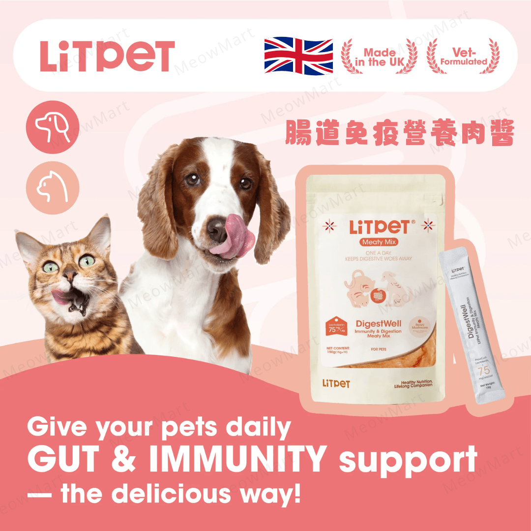 英國 LitPet 腸道免疫營養肉醬 15g x 10條 (貓狗適用)