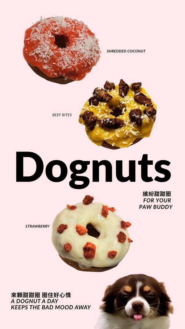 【喜翻 JOLLYROLL】Dognut！寵物甜甜圈-3入組