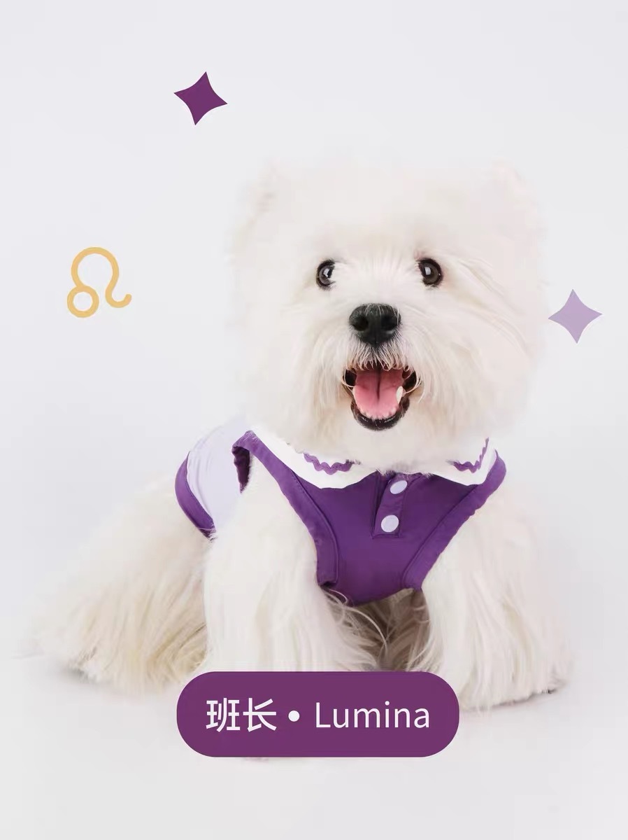 NW 学院 防晒降温班委凉凉衣