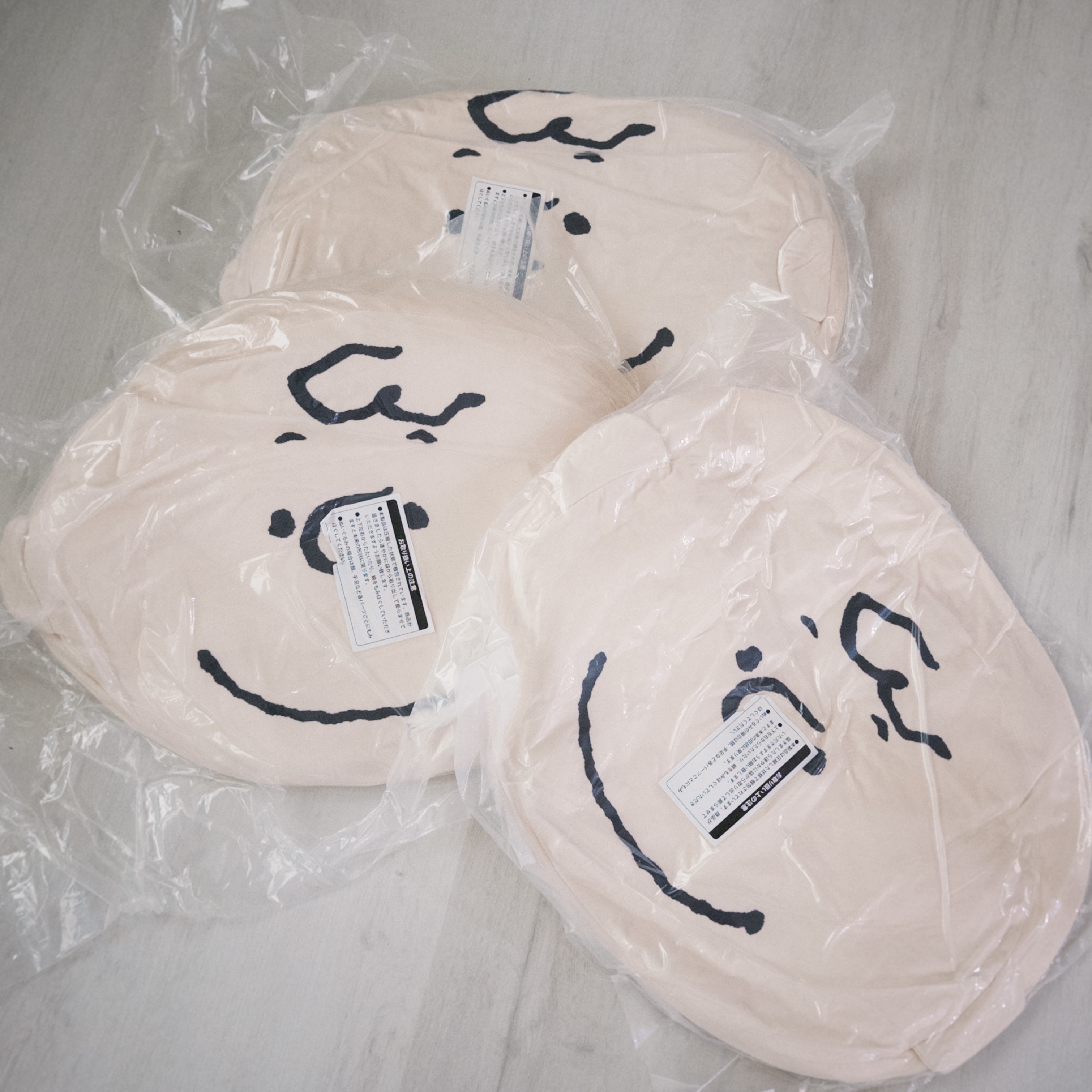 現貨出清┃查理 抱枕 靠枕