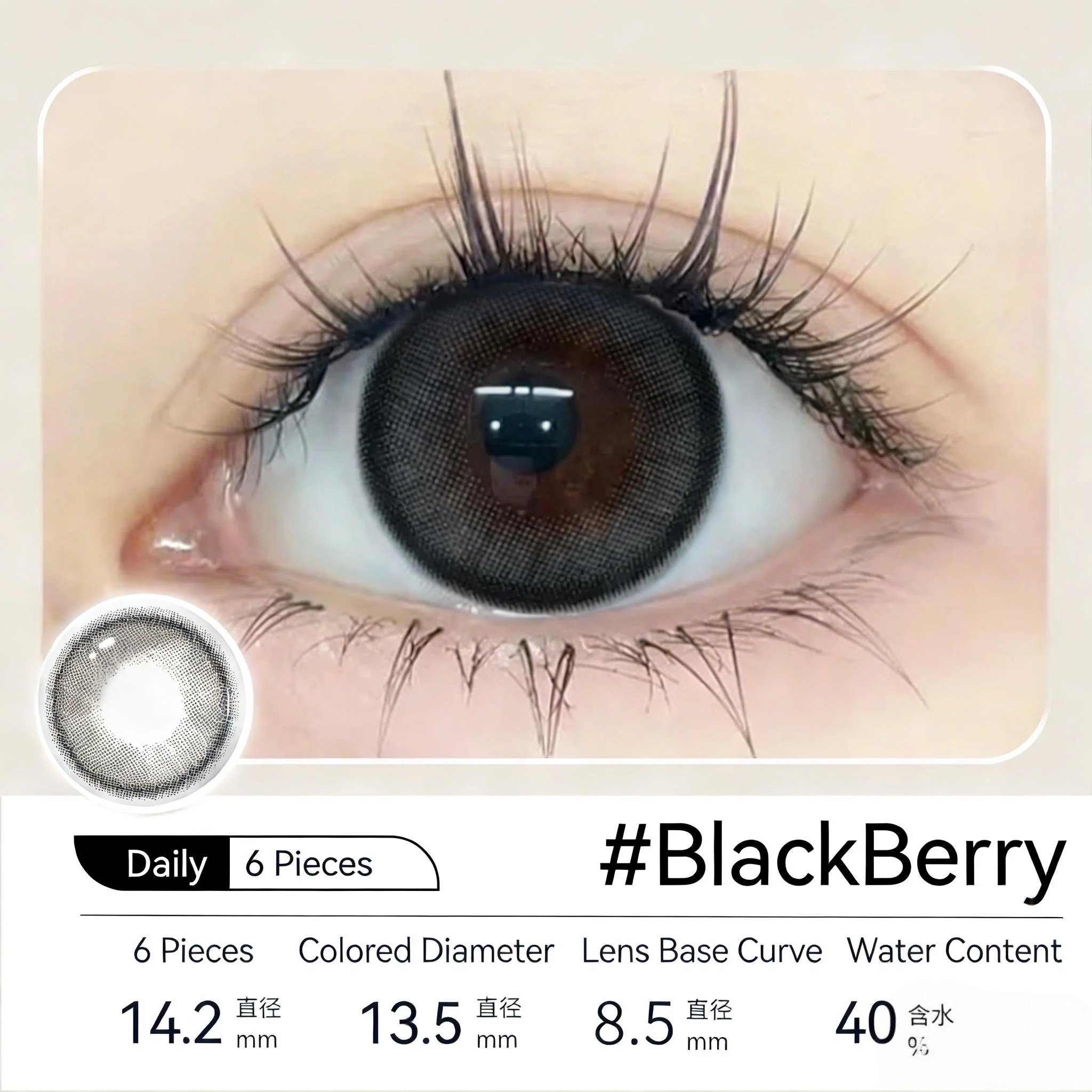 [日拋] MILL CREEK 1 Day BlackBerry 日拋隱形眼鏡｜每盒10片