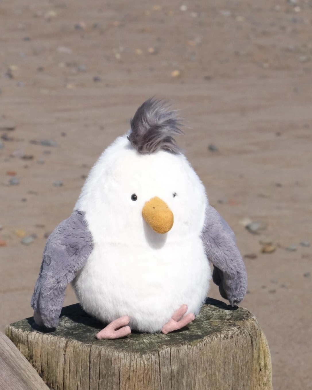 JELLYCAT Chip Seagull 奇普海鷗 毛絨 玩偶 娃娃