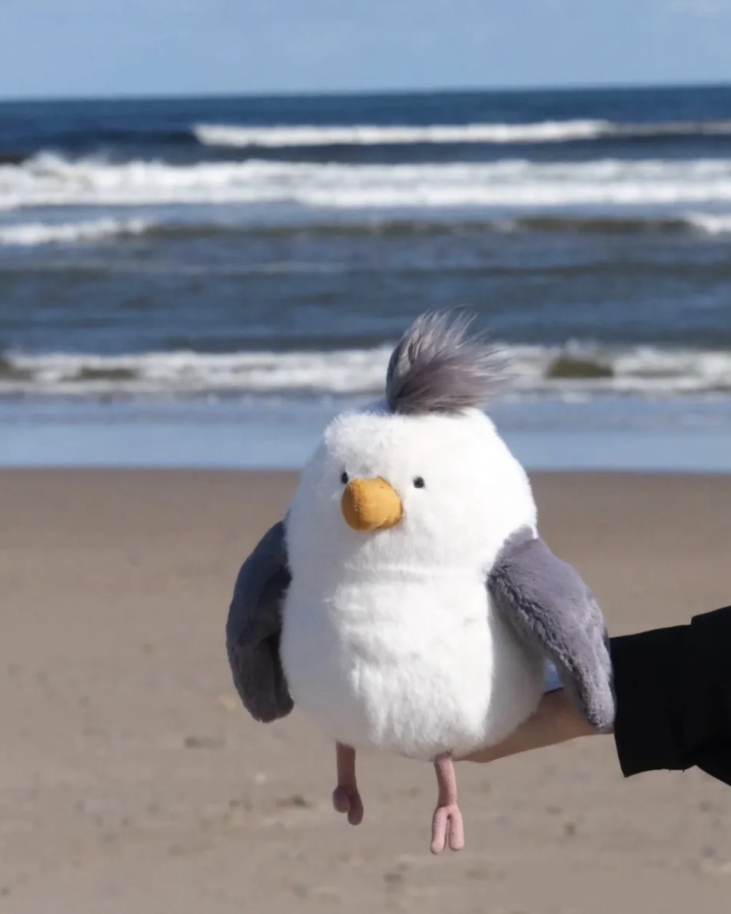 JELLYCAT Chip Seagull 奇普海鷗 毛絨 玩偶 娃娃