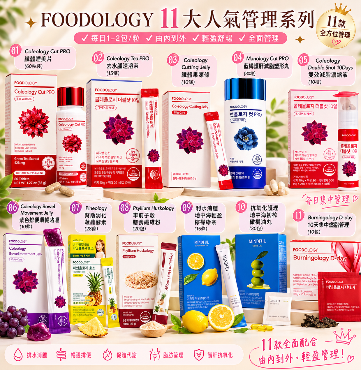 【韓國預購】DKR060601 Foodology 夏日輕盈管理系列
