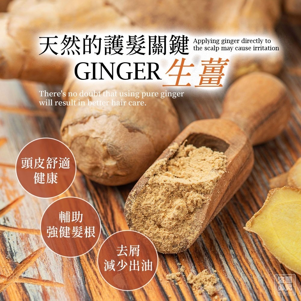 黃芪生薑柔順洗髮露500ml