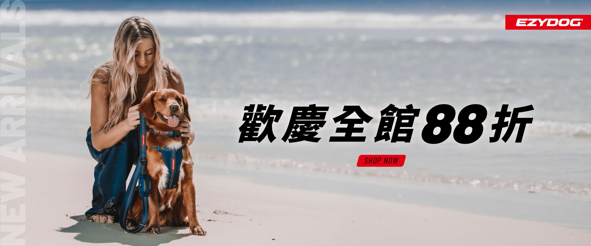 6月活動