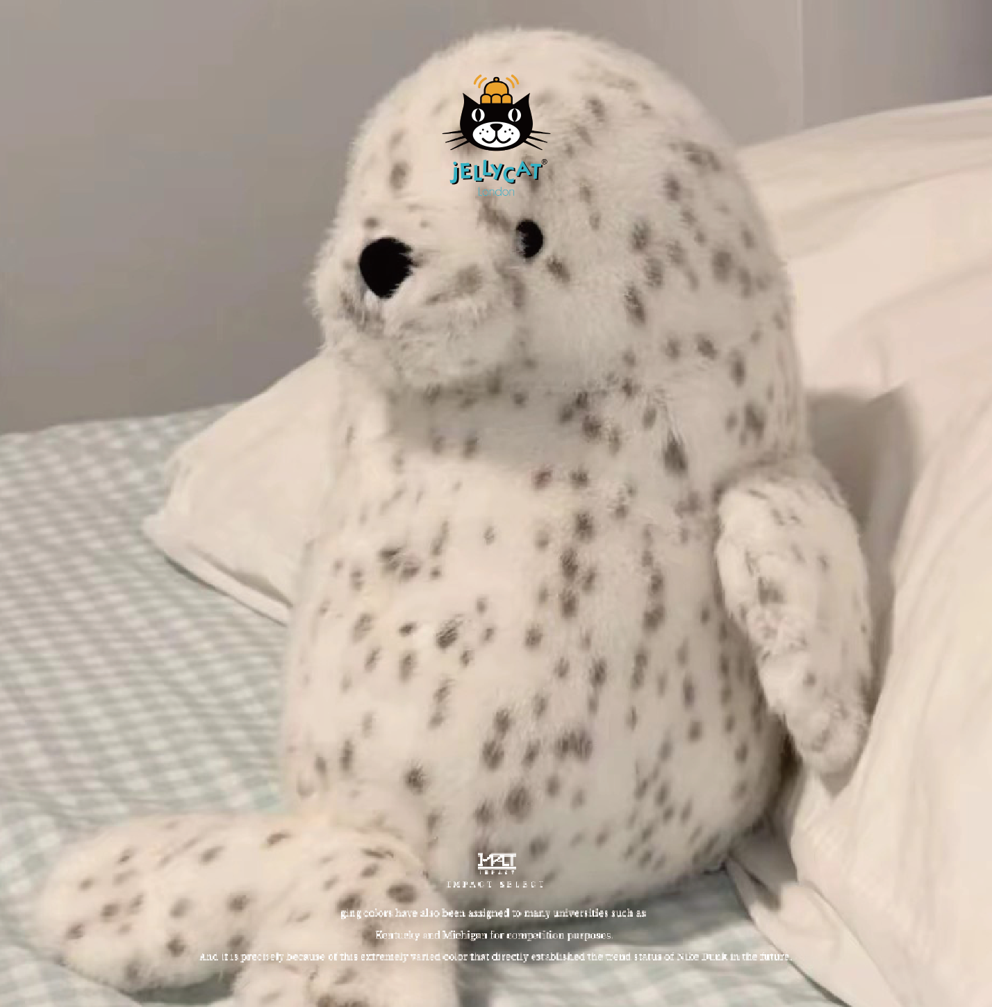 Jellycat 2026 夏日限定 羅爾威海獅 笨拙的小海豹