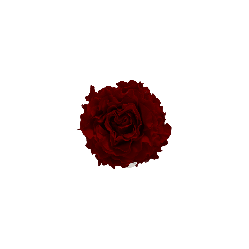 Red｜4-4.5cm 12輪 愛心庭園｜Hoja Verde