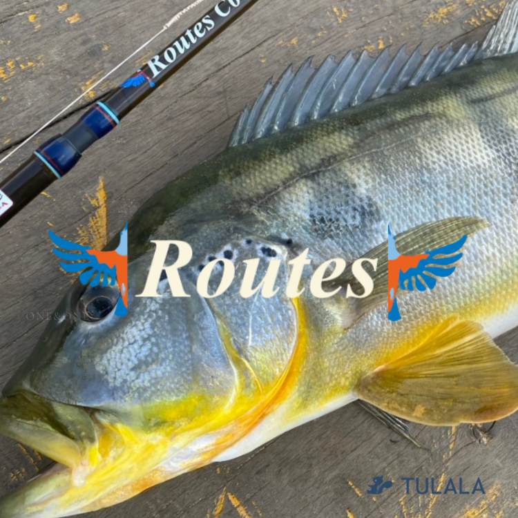 Tulala Routes