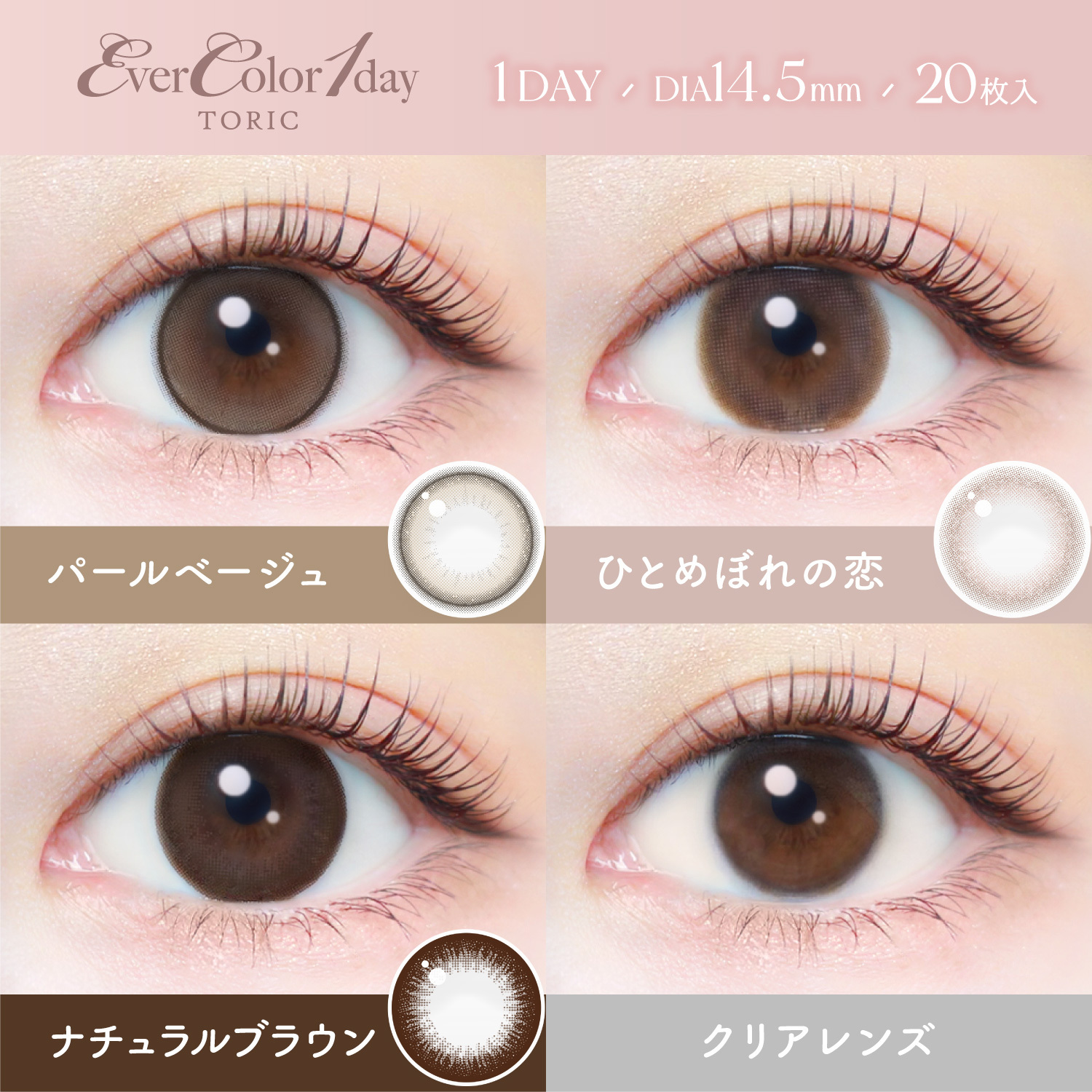 (散光) Evercolor 1 day Toric (20P)