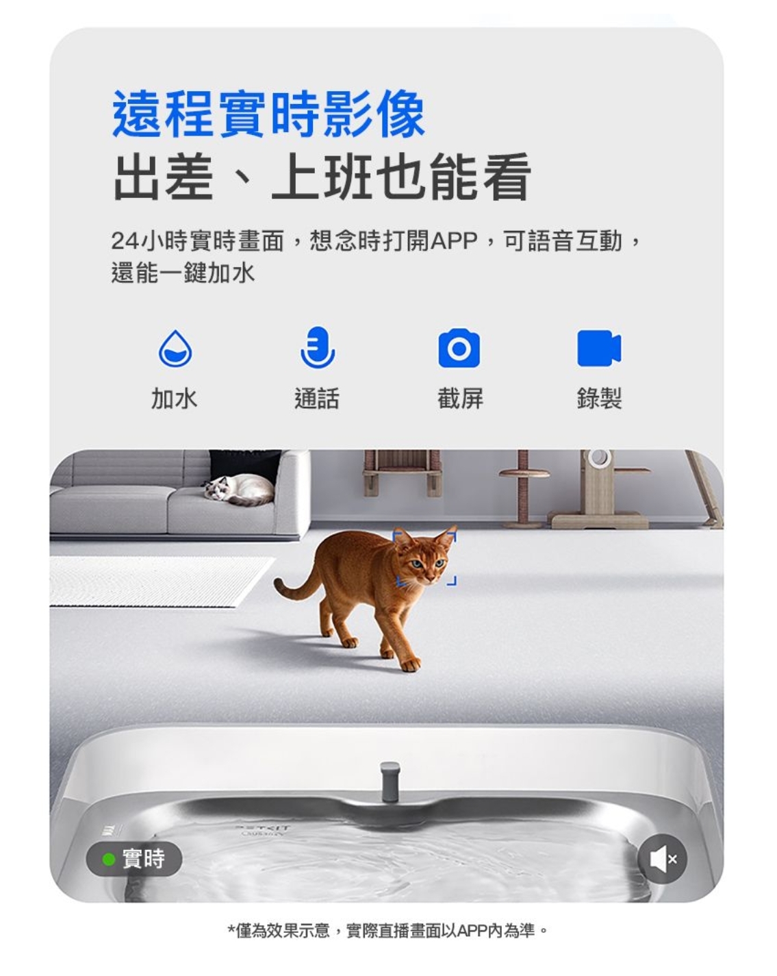 PETKIT - Eversweet Ultra AI鏡頭智能飲水機 (實時影像/淨污分離/自動沖換/5L容量)