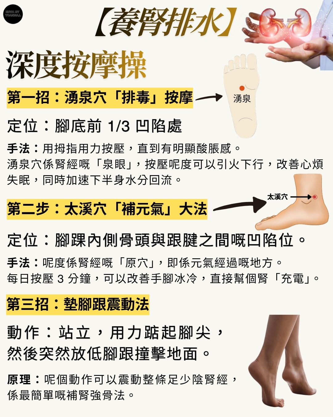 第三類 - 內臟健康與隱形排毒