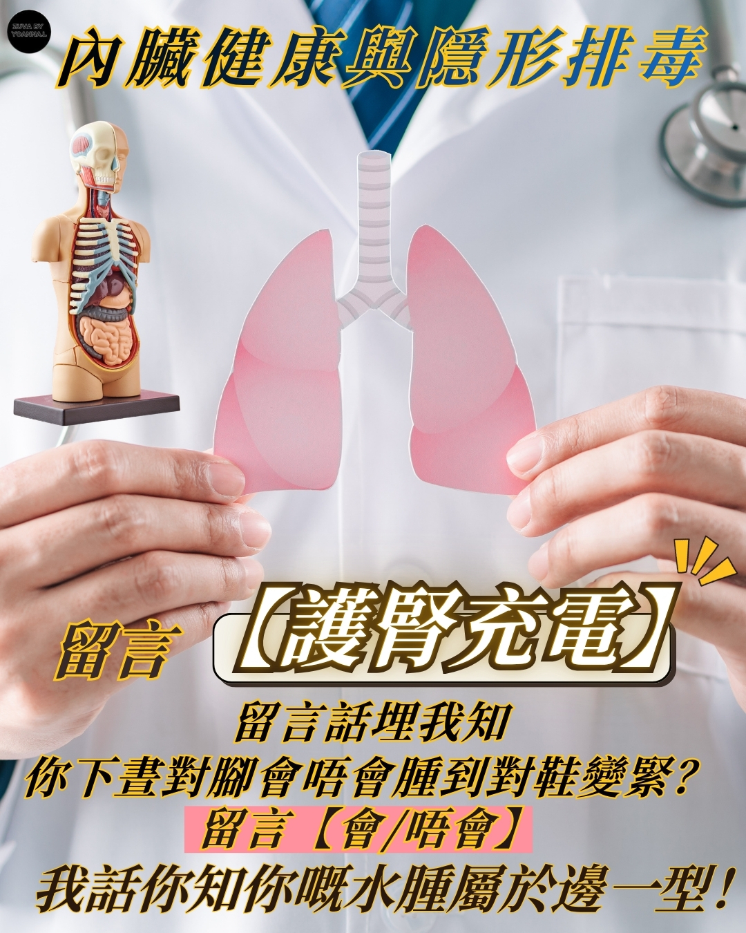 第三類 - 內臟健康與隱形排毒