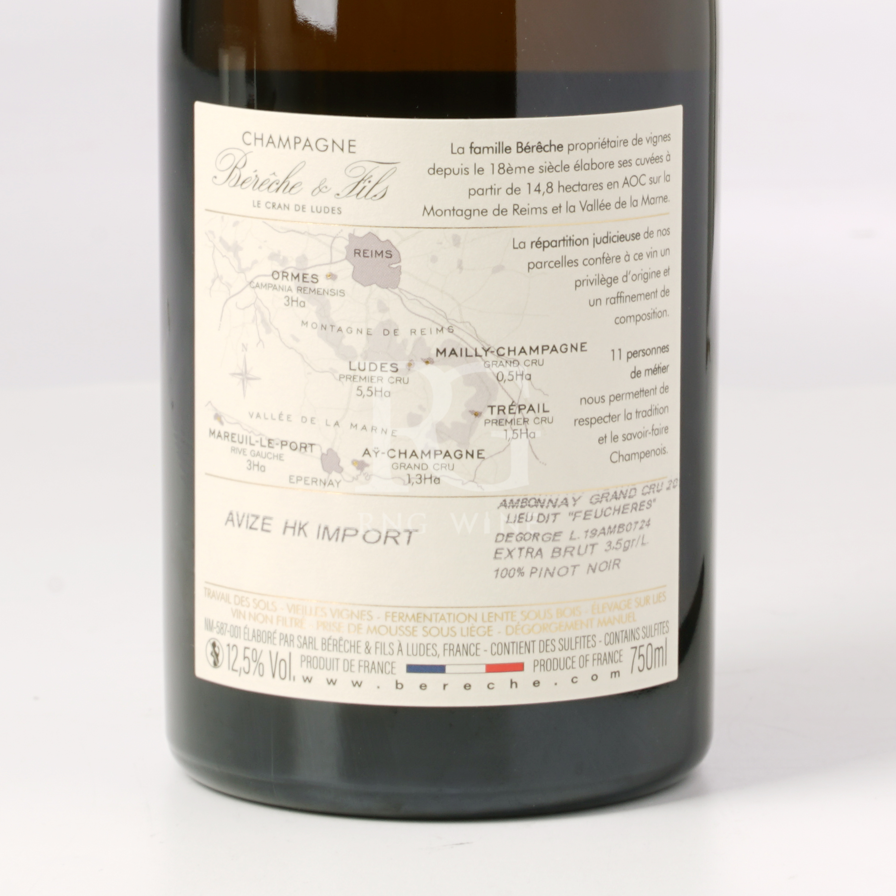 Bereche et Fils Ambonnay Grand Cru Millesime 2019 (RP94)