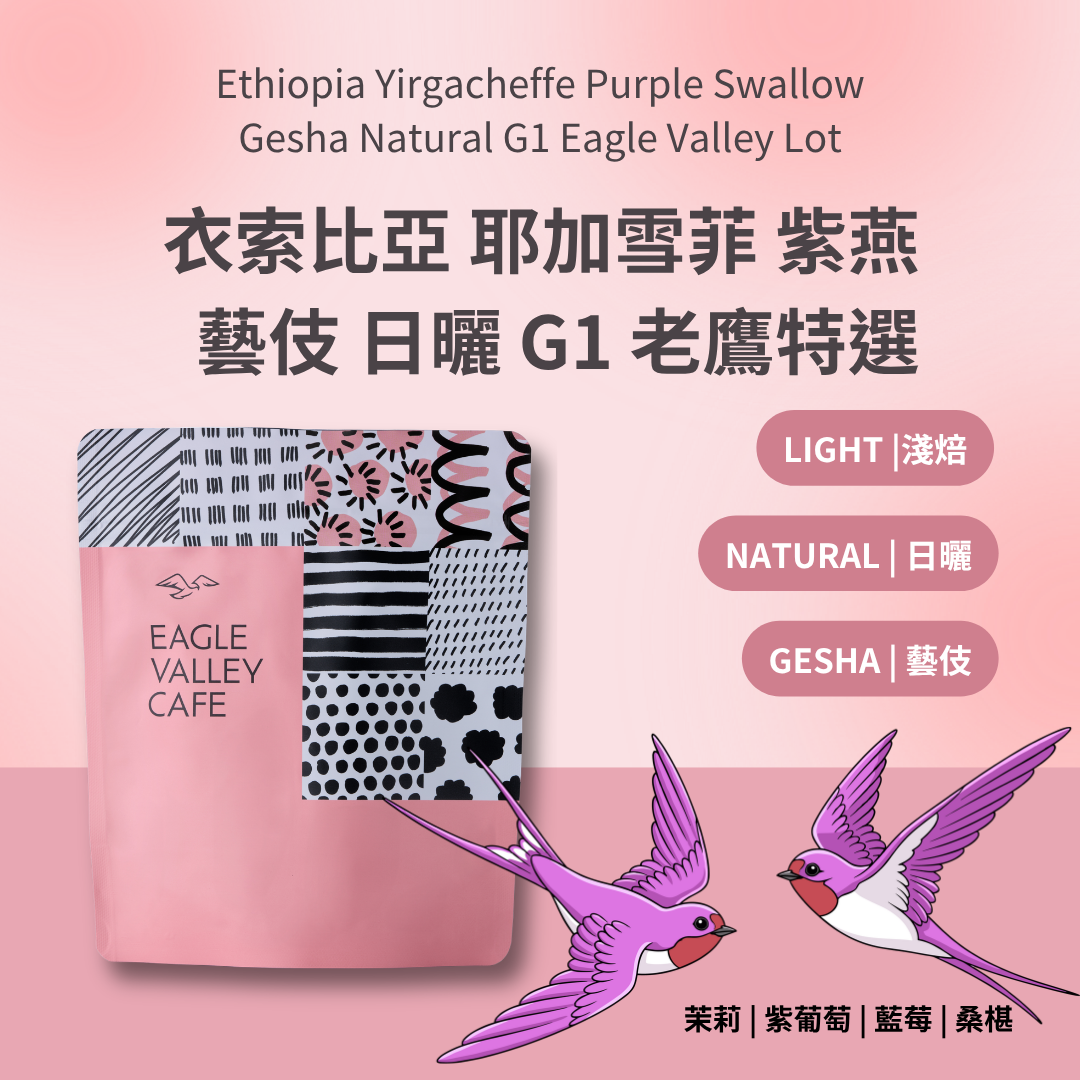 衣索比亞 耶加雪菲 紫燕 藝伎 日曬 G1 老鷹特選批次 淺焙 咖啡豆