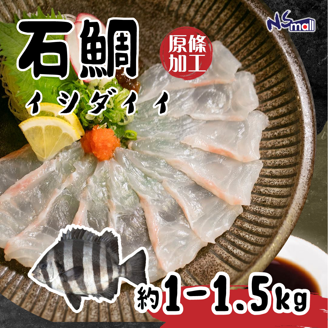 石鯛 約1-1.5kg/條（原條加工魚柳）