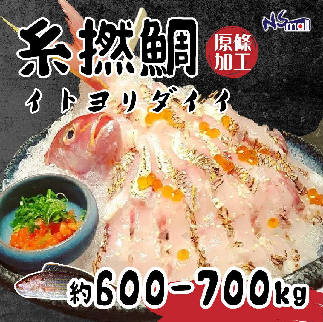 糸撚鯛 約600-700g/條 （原條加工魚柳）