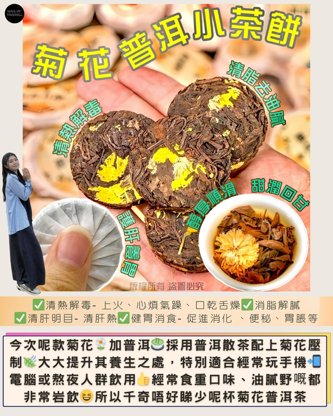 150克菊花普洱小茶餅  FF460