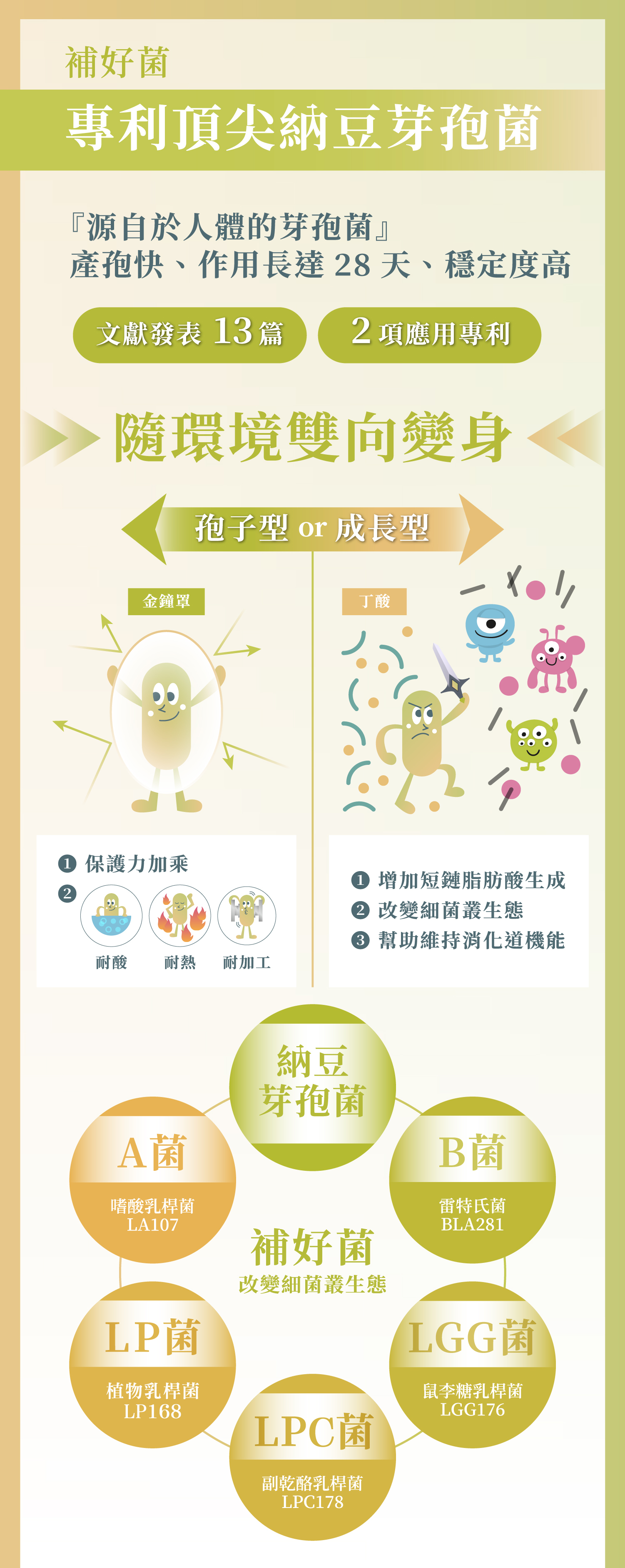 益生菌